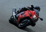 Suzuki Hayabusa GSX1300R